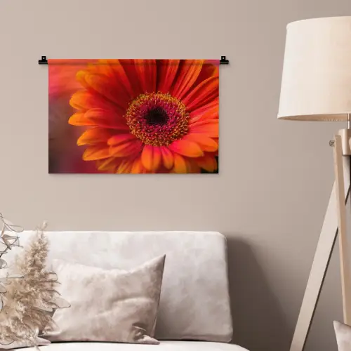 Oranje - Gerbera - Intens Wandkleed katoen klein -sfeer4