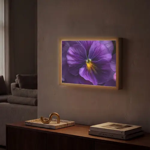 Paars - Viool - Diepte Light Box met batterij (Wandlamp) middel -sfeer1