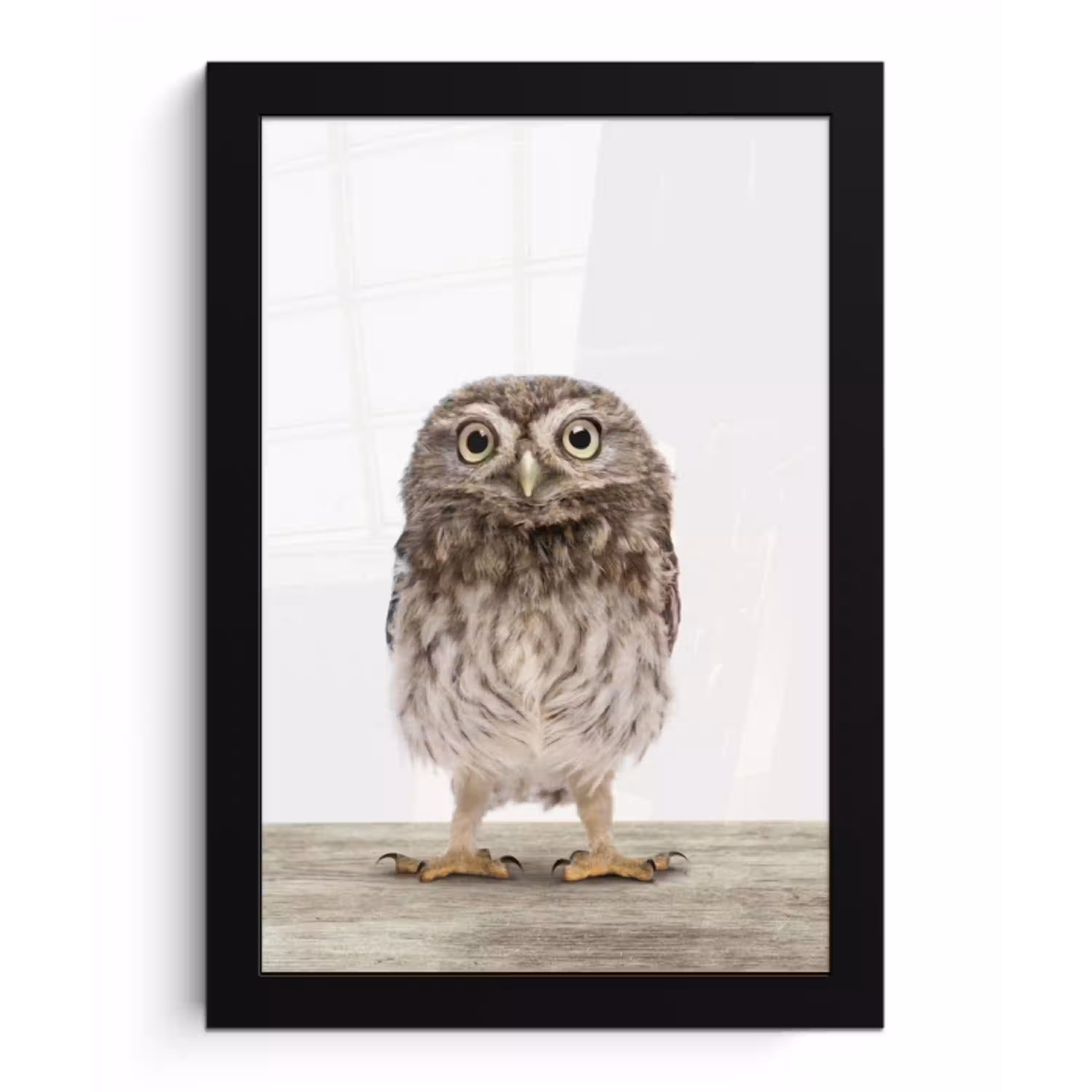 Uil - Bruin - Uilskuikentjes - Kinderen - Jongens - Meisjes fotolijst zwart zonder passe partout klein -3d