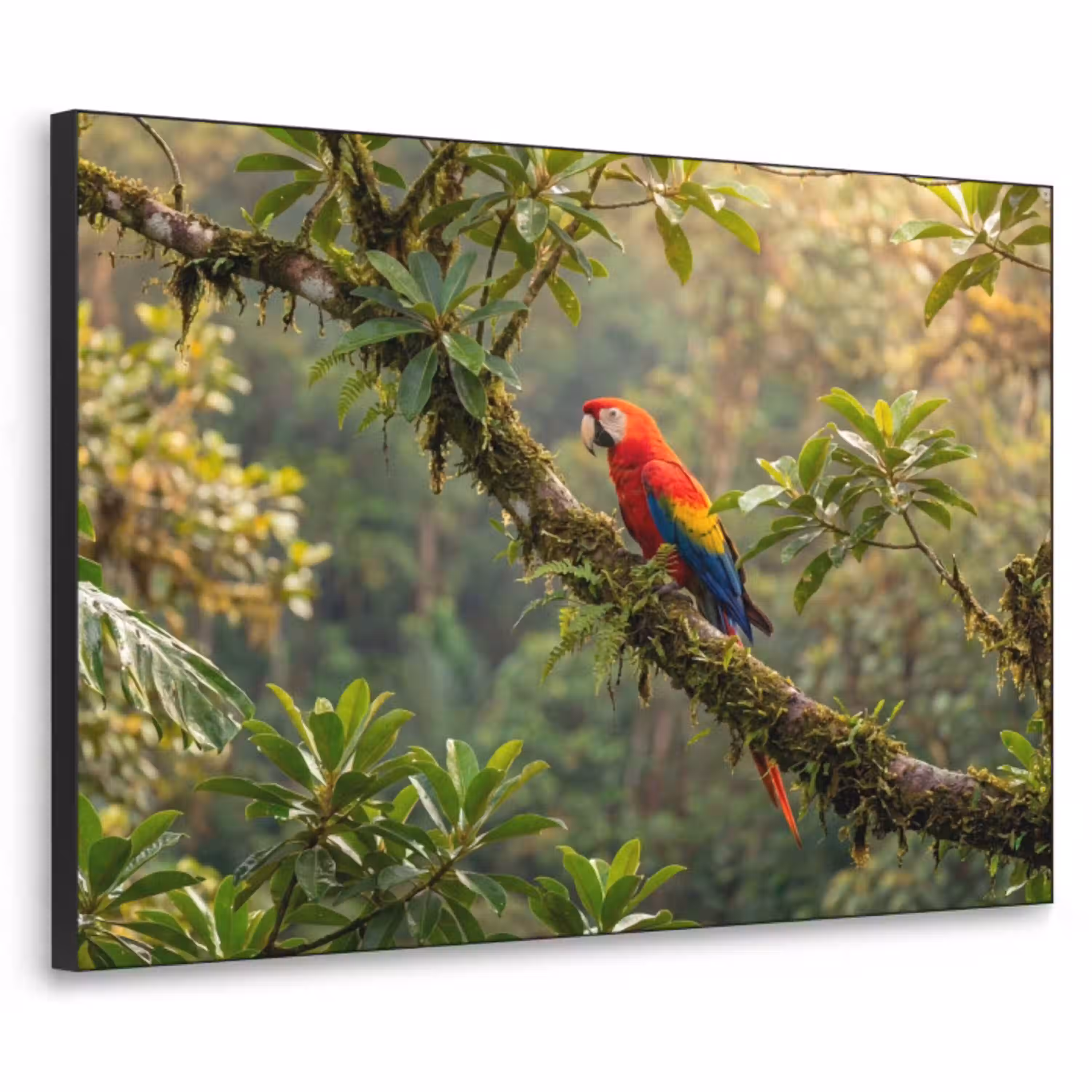 Ara - Jungle - Rood Textielframe zwart klein -3d