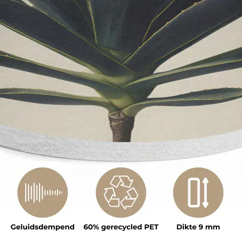 Agaveplant - Symmetrisch - Groen Akoestische PET Vilt - Rond klein -closeup_NL