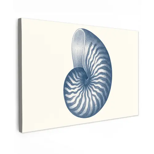 Blauw - Schelp - Spiraal canvas 2cm klein -z3d
