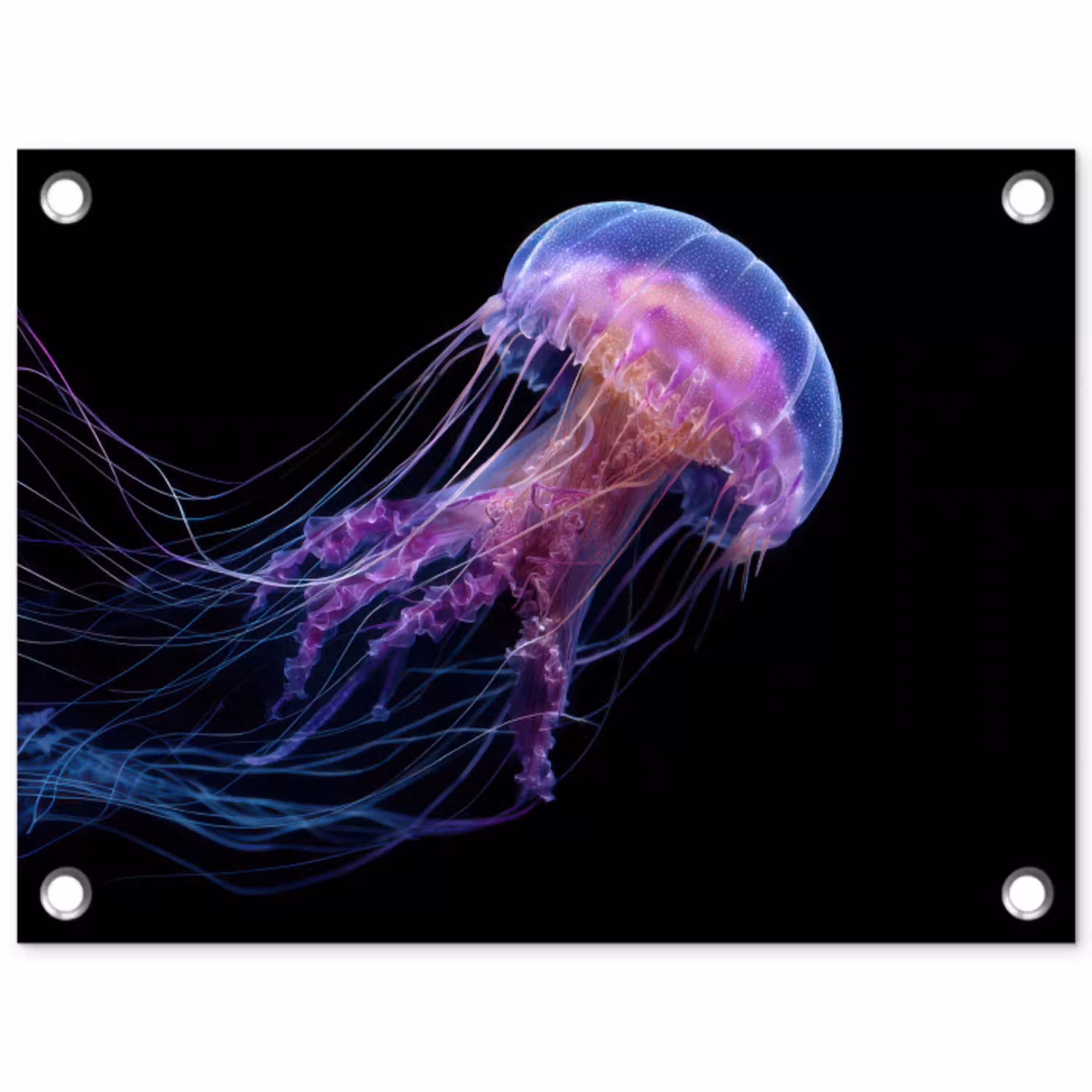 Kwal - Doorzichtig - Roze - Tentakels tuinposter los doek klein -3d