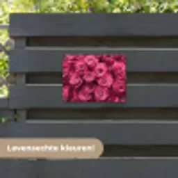 Rozen - Pink - Bloem tuinposter los doek klein -sfeer3