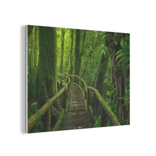 Jungle - Brug - Mos - Natuur - Tropisch PET vilt klein -3d