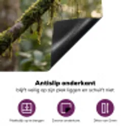 Quetzal - Jungle - Natuur - Groen Inductie beschermer vinyl 3mm klein -zzzzzzz-cc-onderkant