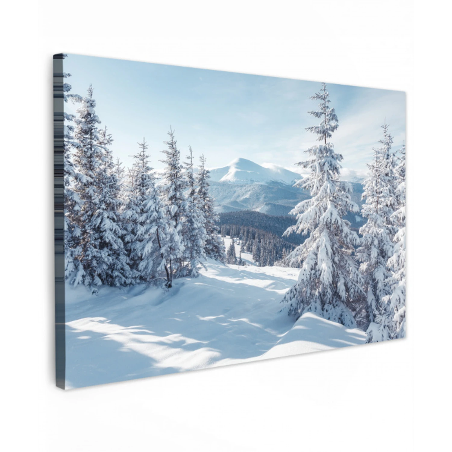Winterlandschap - Natuur - Berg - Bomen - Sneeuw Tuinposter op houten frame 2 cm dik klein -3d