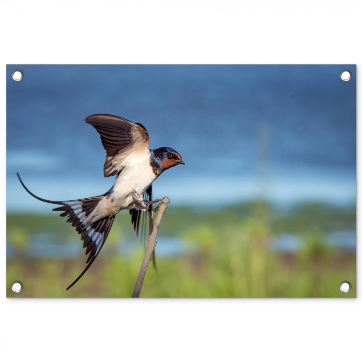 Vogel - Zwaluw - Vliegen tuinposter los doek klein -3d
