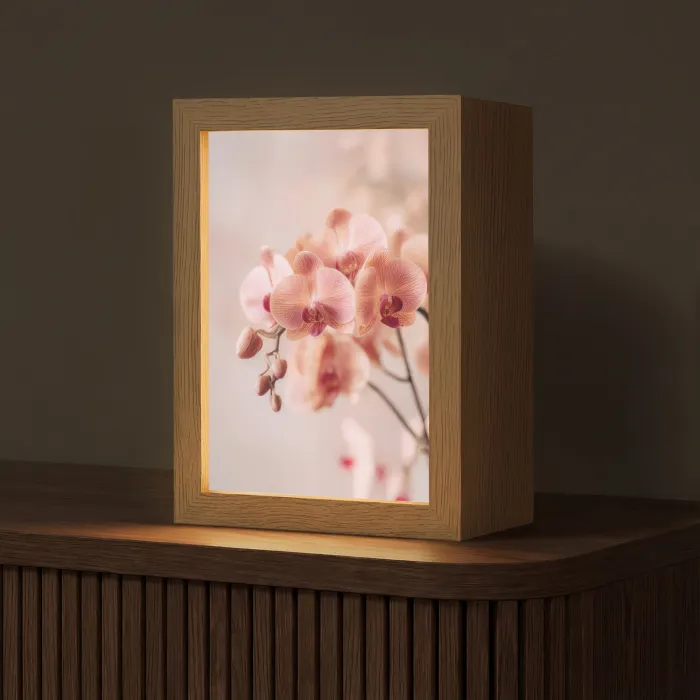 Orchidee - Bloemen - Roze - Bloemblaadjes Light Box met kabel (Tafellamp) klein -z3d_website