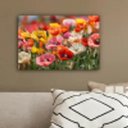 Bloemenveld - Klaprozen - Kleurrijk canvas 2cm klein -sfeer3