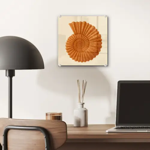 Schelp - Oranje - Ribbels plexiglas 5mm klein -sfeer6