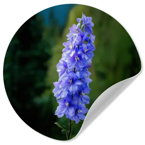 Bloemen - Blauw - Dennenboom Wandcirkel behangsticker klein -3d