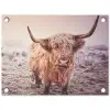 Schotse hooglanders - Licht - Lucht - Natuur tuinposter los doek klein -3d