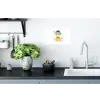 Sterren - Stegosaurussen - Blaadjes - Groen Muursticker klein -keuken