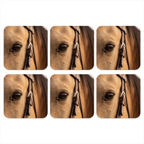 Paard - Oog - Bruin onderzetter kurk middel -3d