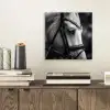 Paard - Schimmel - Portret aluminium wit klein -sfeer1