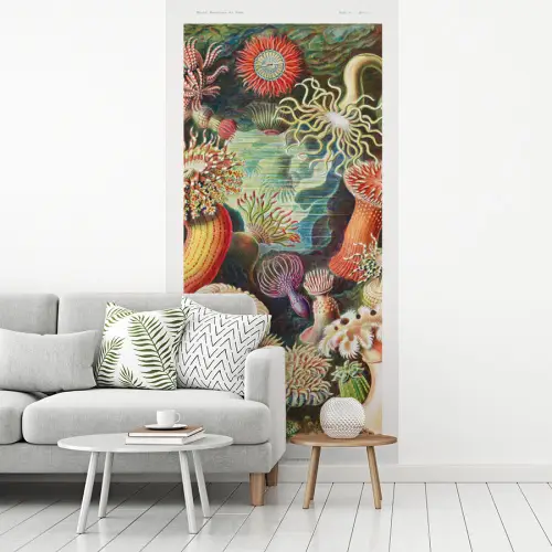 Ernst Haeckel - Anemoon - Retro - Tuinposter - Tuinhuis fotobehang vinyl groot -woonkamer