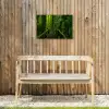Jungle - Brug - Mos - Natuur - Tropisch Tuinposter op houten frame 2 cm dik klein -sfeer4