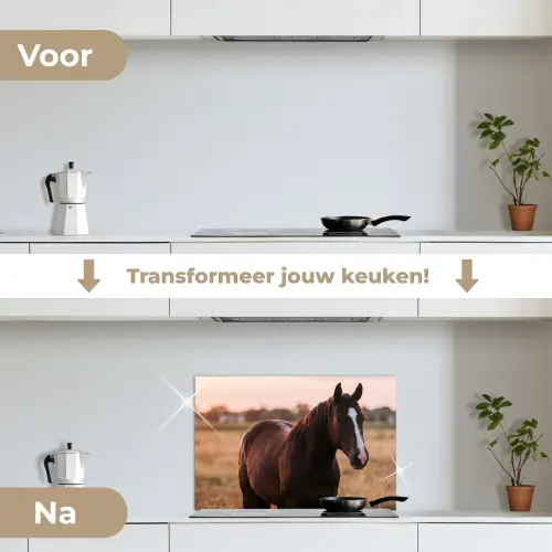 Paard - Zonsondergang - Bruin keuken achterwand spatscherm klein -voor_na_NL