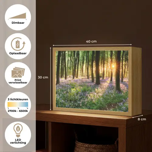 Bos - Bloemen - Lavendel - Zon - Paars - Natuur Light Box met batterij (Wandlamp) middel -USP_websiteoverzichtNL