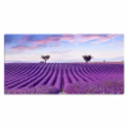 lavendel-natuur-paars-bomen-bloemen Muismat XXL klein -3d_leeg