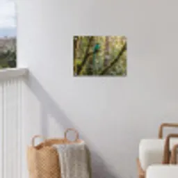 Quetzal - Jungle - Natuur - Groen tuinposter los doek klein -sfeer8