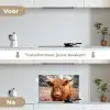 Koe- Schotse hooglander - Hoorns - Bruin - Landschap keuken achterwand spatscherm klein -voor_na_NL