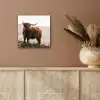 Schotse hooglander - Dieren - Landelijk - Landschap - Koe - Natuur aluminium wit klein -sfeer4
