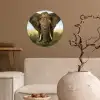 Olifant - Natuur - Gras - Dieren - Landschap Wandcirkel behangsticker klein -sfeer1