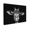 Giraffe portret in zwart-wit Tuinposter op houten frame 2 cm dik klein -3d