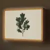 Eikenbladeren - Beige - Groen - Golvende randen Light Box met batterij (Wandlamp) middel -z3d_website