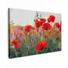 Rode klaprozen in de avondzon Tuinposter op houten frame 2 cm dik klein -3d