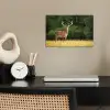 Hert - Gewei - Gras - Natuur - Dieren - Groen poster papier klein -sfeer1