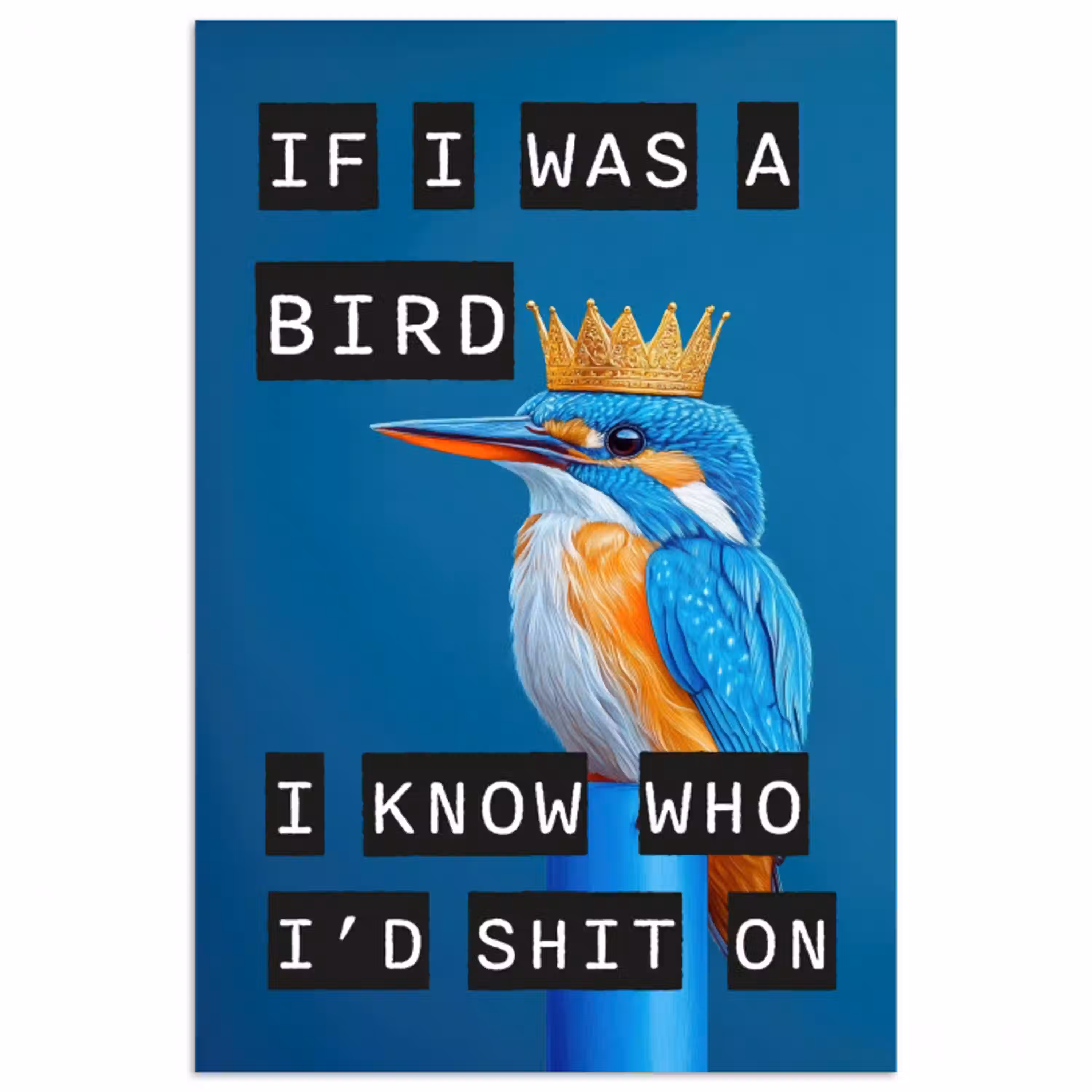 Vogel - Decoratie - Ijsvogel - Blauw poster papier klein -3d