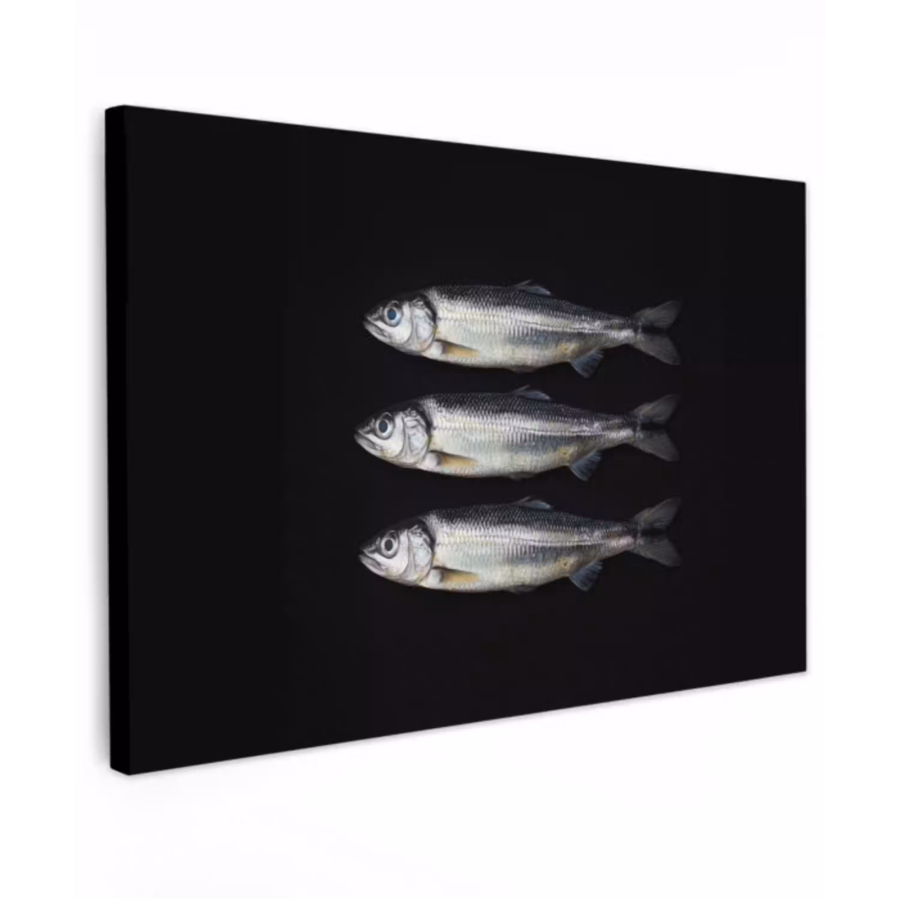 Haring - Vissen - Zwart canvas 2cm klein -z3d