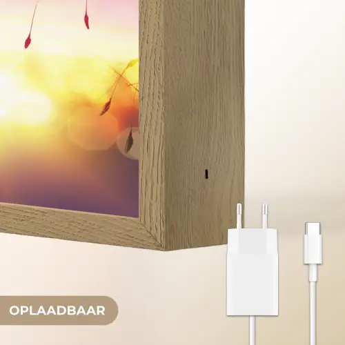 Paardenbloem - Bloemen - Zonsondergang - Horizon - Nacht Light Box met batterij (Wandlamp) middel -USP_websiteoplaadbaarNL