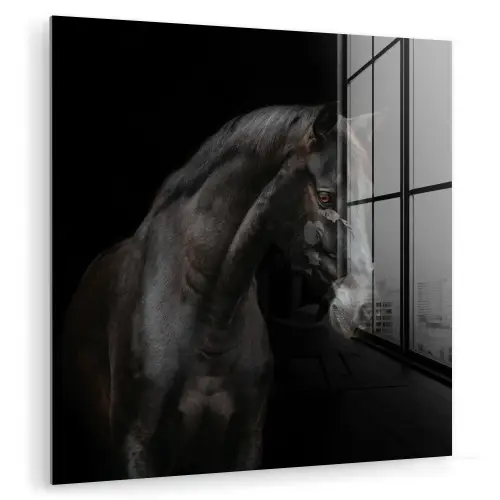Paard - Dieren - Zwart - Portret plexiglas 5mm klein -zzzproduct_nieuw