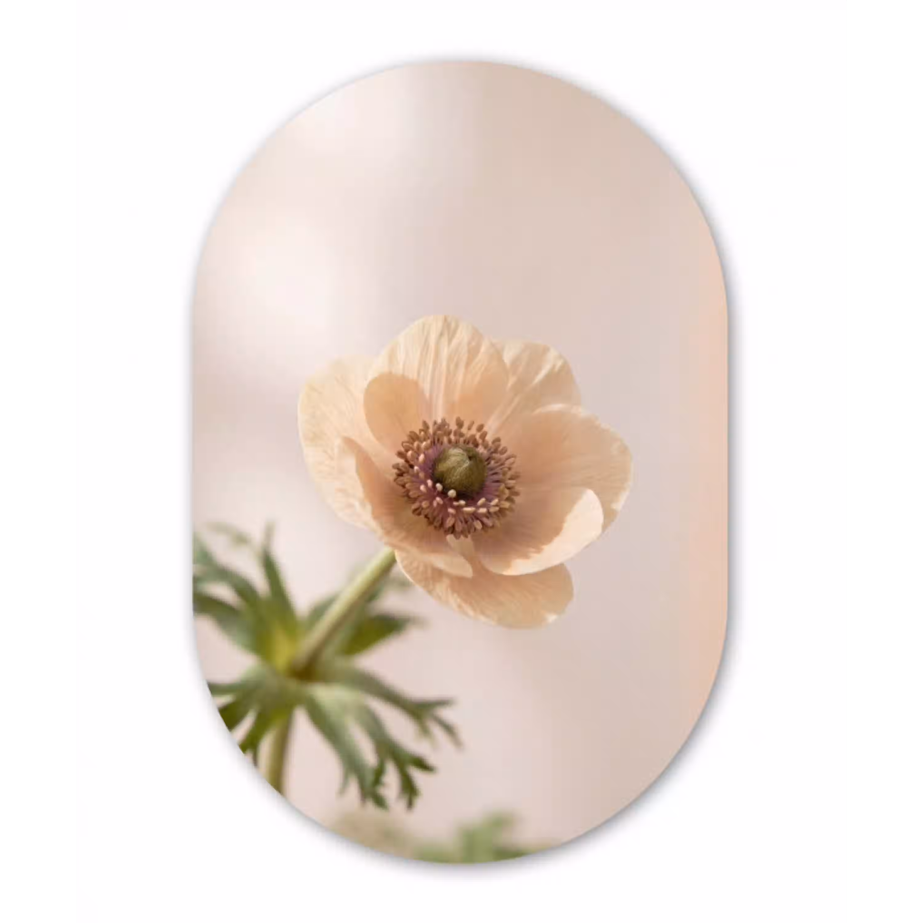 Bloem - Minimalistisch - Groen Wandcirkel Ovaal Aluminium middel -3d