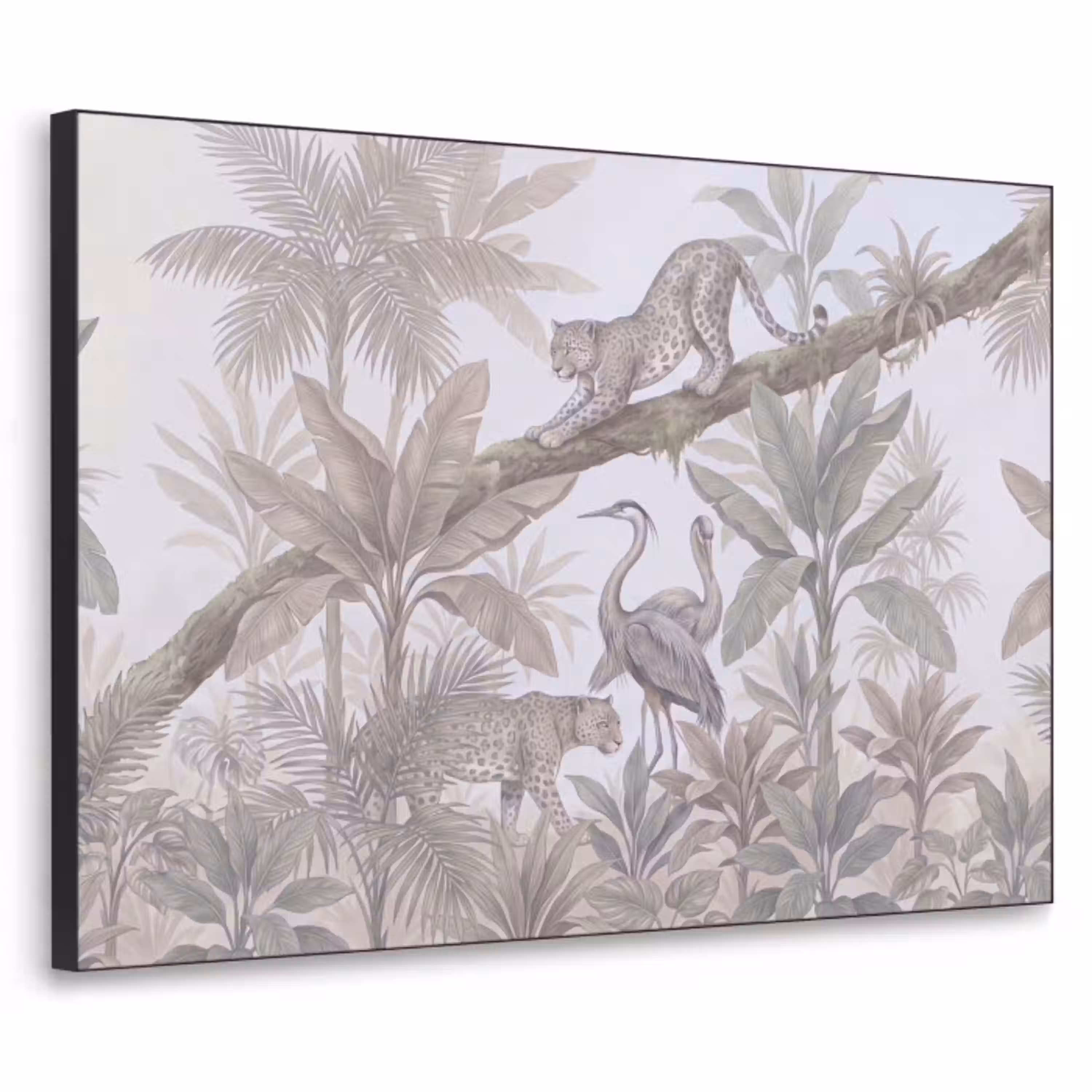 Kat - Vogel - Jungle - Illustratie - Dieren Textielframe zwart klein -3d