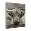 Schotse hooglander - Zwart - Wit - Hout plexiglas 5mm klein -z3d