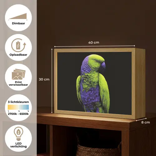 Papegaai - Veren - Opvallend - Groen Light Box met batterij (Wandlamp) middel -USP_websiteoverzichtNL