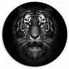 Tijger - Dieren - Zwart - Wit - Portret - Wild Wandcirkel kunststof plaat 5mm dik klein -3d