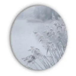 Riet - Bevroren - Winter - Natuur Akoestische PET Vilt - Rond klein -3d