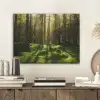 Bomen - Bos - Mos - Planten - Zon - Natuur PET vilt klein -sfeer1