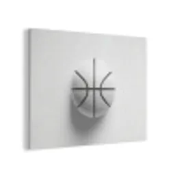 Basketbal - Wit - Schaduw - Lijnen PET vilt klein -3d