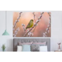 Groenling - Katjes - Lente - Natuur - Zacht forex 5mm xxl -slaapkamer