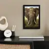 Olifant - Natuur - Gras - Dieren - Landschap fotolijst zwart zonder passe partout klein -sfeer1