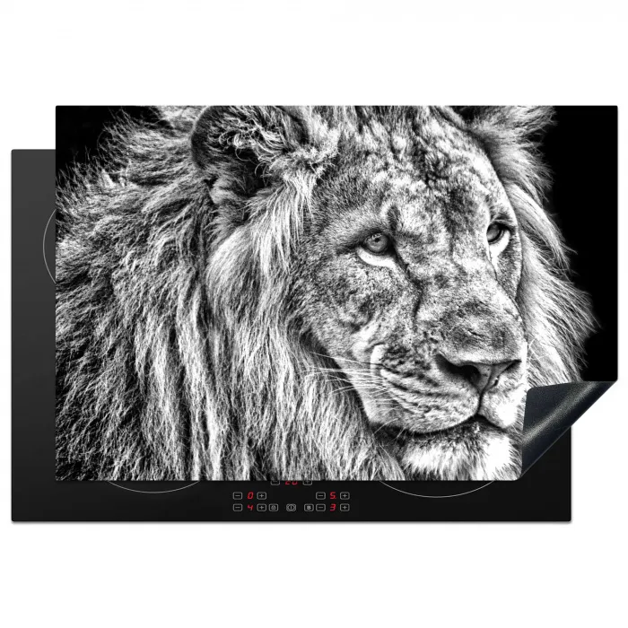 Gravure van een Koning Inductie beschermer vinyl 3mm klein -3d