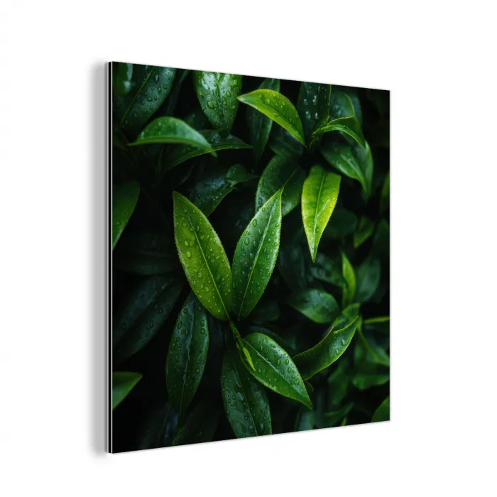 Bladeren - Regendruppels - Licht - Groen aluminium wit klein -3d