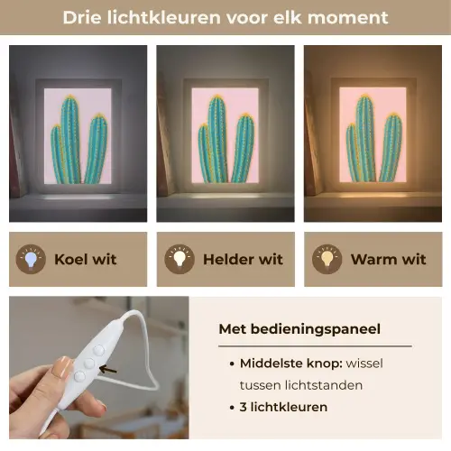 Cactussen - Modern - Pastel Light Box met kabel (Kinderlampje) klein -USP_lichtkleurNL